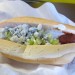 buffalo_dog