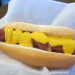 The Dog of Nashville Diet Starts Tomorrow Dog